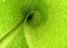世界帆船青少年夏赛：中国队战术进步明显，世界青年帆船锦标赛