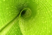 世界帆船青少年夏赛：中国队战术进步明显，世界青年帆船锦标赛